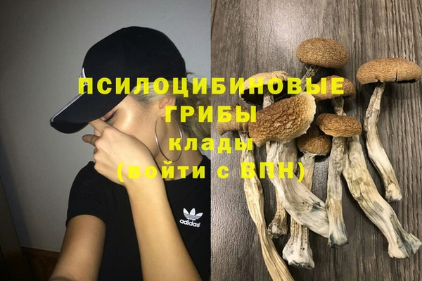 ГАЛЛЮЦИНОГЕННЫЕ ГРИБЫ Бугульма