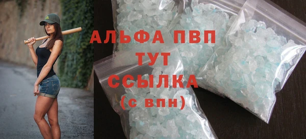 крисы Бородино