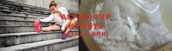 крисы Бородино