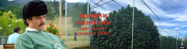 ГАЛЛЮЦИНОГЕННЫЕ ГРИБЫ Бугульма