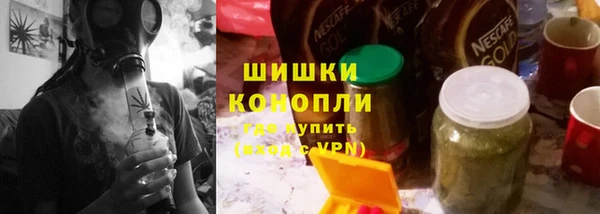 крисы Бородино