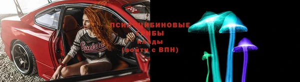 ГАЛЛЮЦИНОГЕННЫЕ ГРИБЫ Бугульма