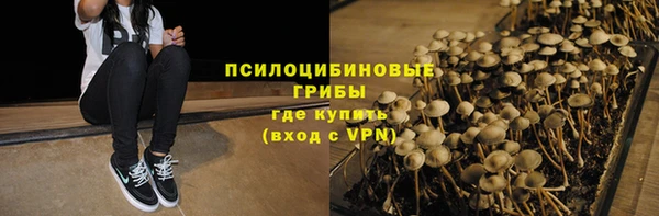 крисы Бородино
