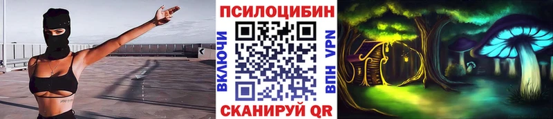Псилоцибиновые грибы мухоморы  дарнет шоп  Каневская 